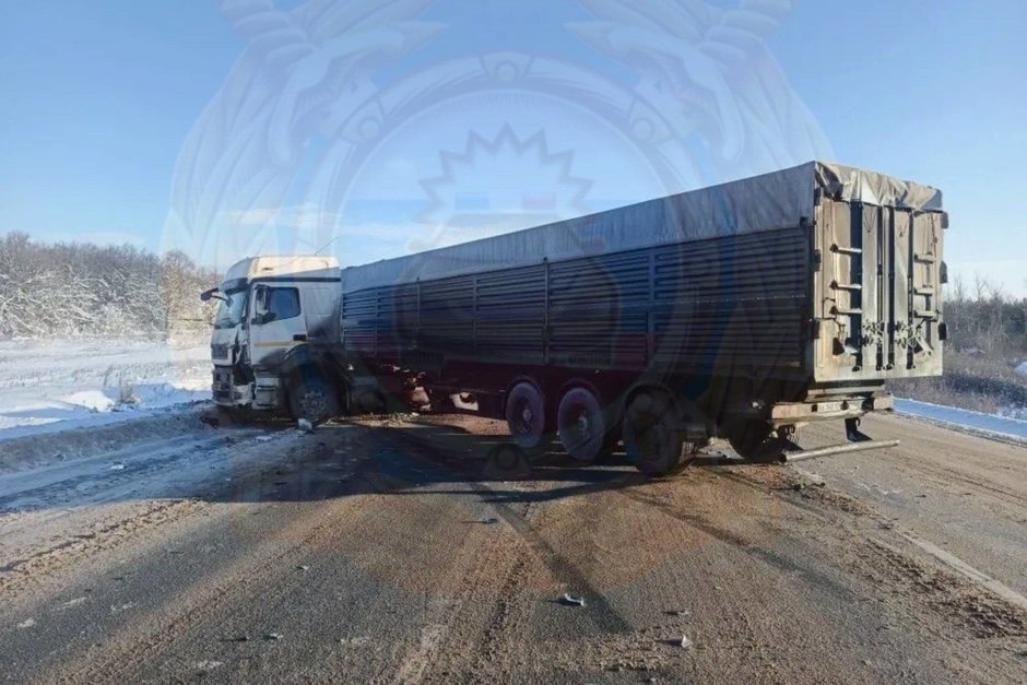 В Альметьевском районе Татарстана два КАМАЗа столкнулись на встречке: один водитель погиб