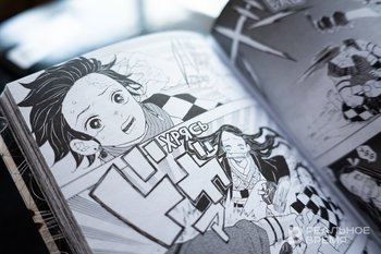 Суд рассмотрит три новых протокола о ЛГБТ*-пропаганде в отношении библиотеки «МангаЛиб»