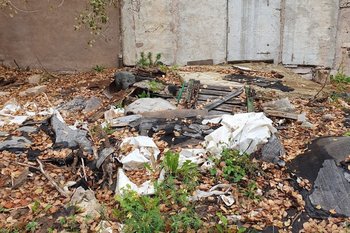 В Азнакаево выявили массовые нарушения законов об охране природы