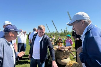 Минниханов поручил Минсельхозу рассмотреть введение субсидий на строительство парников