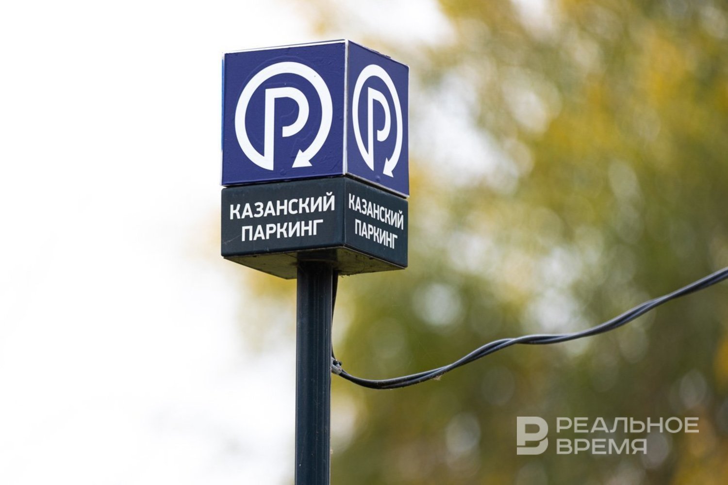 Депутаты предложили ввести бесплатную парковку для многодетных семей по всей России