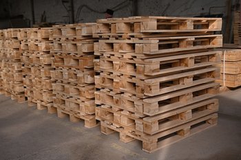 Стоимость бывшего сапфирового завода в Челнах снизилась на торгах на 400 млн рублей