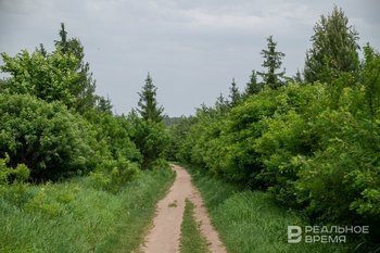 В Татарстане объявлено штормовое предупреждение о высокой пожарной опасности лесов