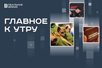 Отели России начнут заселять гостей с питомцами, Ринат Фахретдинов снялся с боя на UFC, рост страховой пенсии