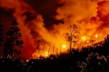 В России за сутки потушено 18 лесных пожаров