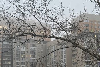 Завтра в Татарстане ожидается туман