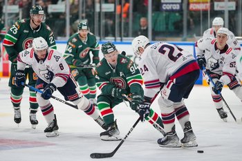 «Ак Барс» остался на предпоследнем месте на Востоке после победы над «Салаватом»