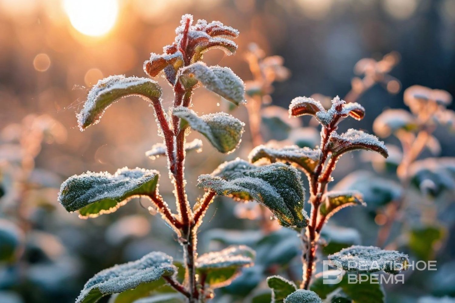 Ночью в Татарстане температура опустится до 0 градусов