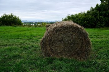 В России выделят более 6 млрд рублей на сохранение льготной ипотеки в сельской местности