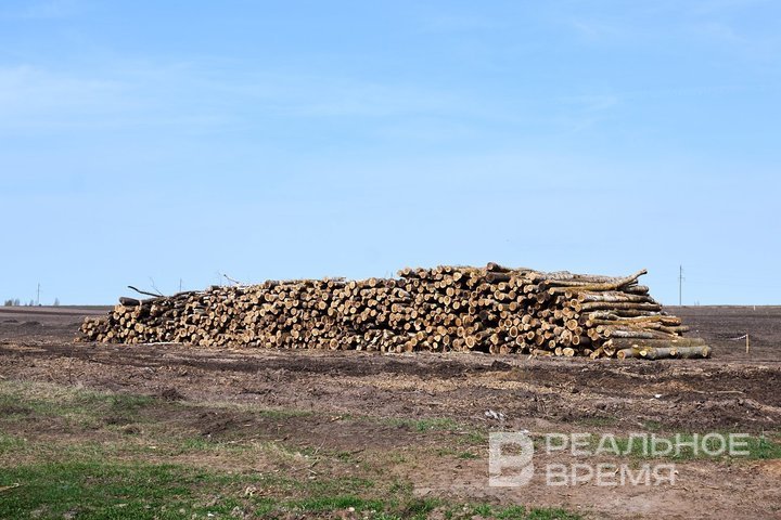 Госдума увеличила штрафы за сокрытие и искажение экологической информации