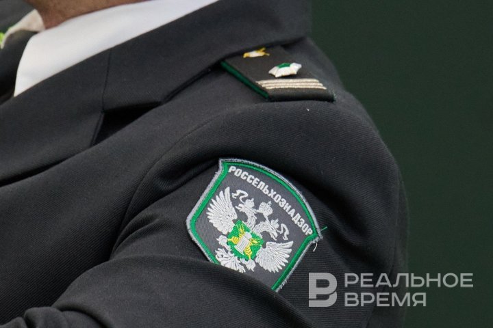 Татарстан стал лидером в цифровизации экспортных сертификатов в ветеринарии