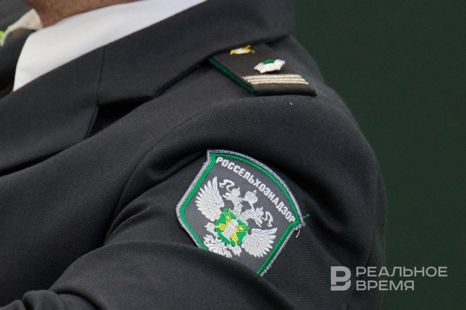 Татарстан стал лидером в цифровизации экспортных сертификатов в ветеринарии
