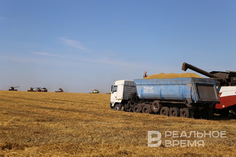 Квоты на экспорт зерновых из России установлены до конца июня 2026 года