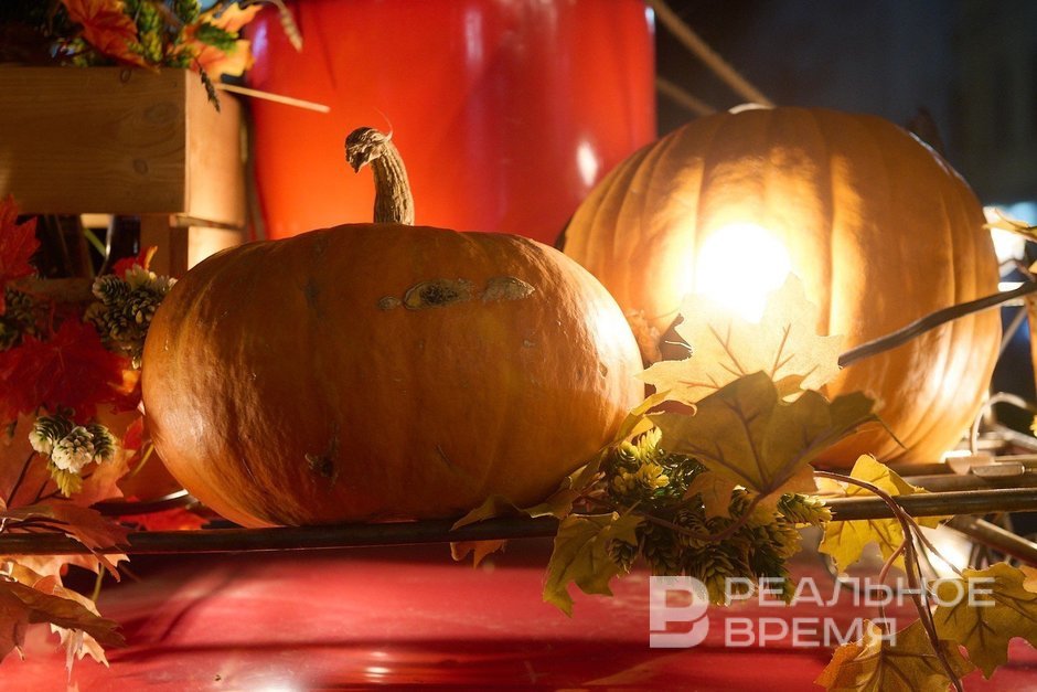 Спрос на декоративные сорта тыквы в России вырос на 70%