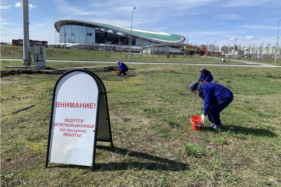 В Казани началась весенняя дератизация, обработано почти 74 гектара
