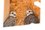 Краснокнижный сокол-балобан продолжает обживать Татарстан