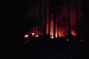 В Новосибирске вспыхнул пожар в зоопарке: огонь охватил два здания