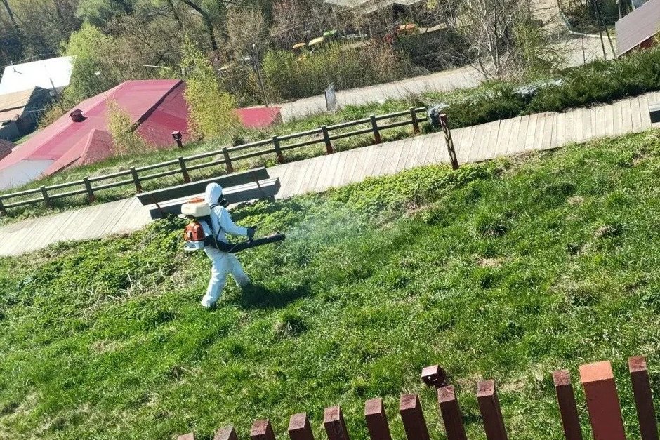 В Бугульме завершили обработку общественных территорий от клещей