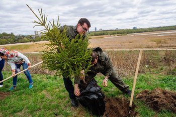 Администрация Альметьевска сообщила о переносе акции «Сад памяти»