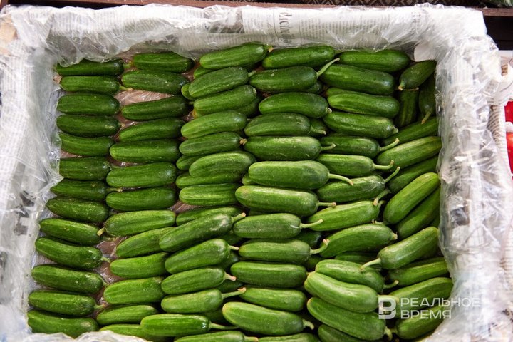 В России цены на огурцы продолжают расти, но уже медленнее
