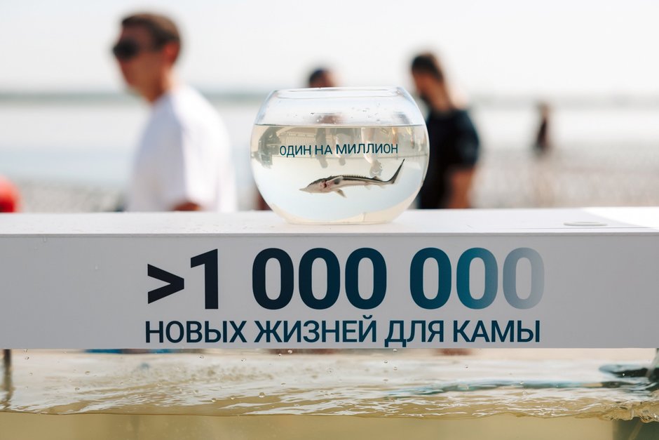 Два проекта НКНХ вошли в шорт-лист международной премии PROBA Awards