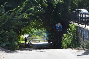 В исполкоме Казани поручили усилить работу по поливу городских растений