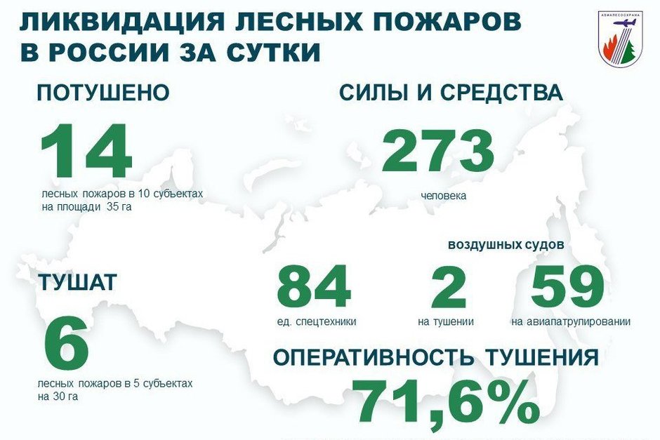 В России за сутки потушено 14 лесных пожаров