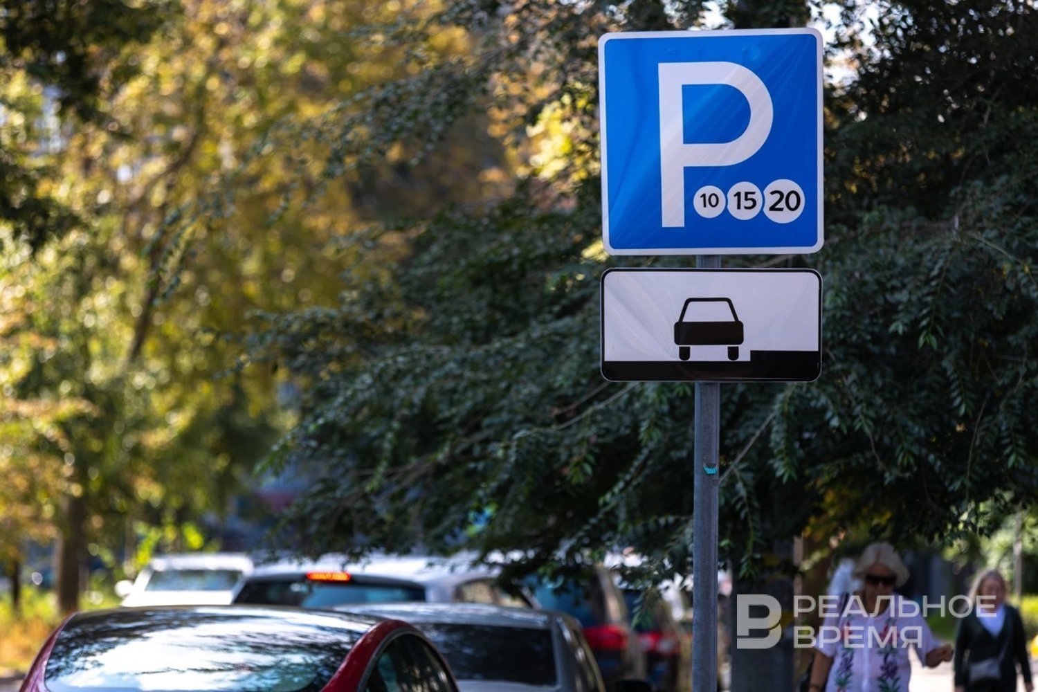 Депутаты от ЛДПР предложили сделать парковки бесплатными для автомобилей многодетных семей