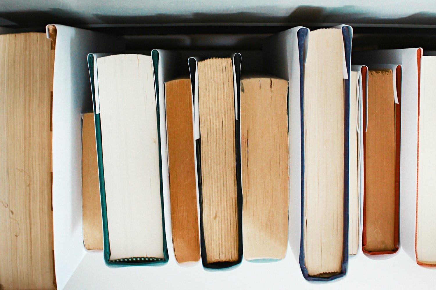 Продажи книг о Древнем Риме выросли в 2,5 раза, об истории Кореи — почти втрое