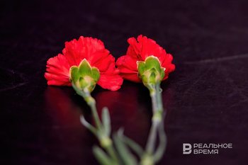 Родителям подростка, погибшего на железной дороге в Татарстане, выплатят 1 млн рублей