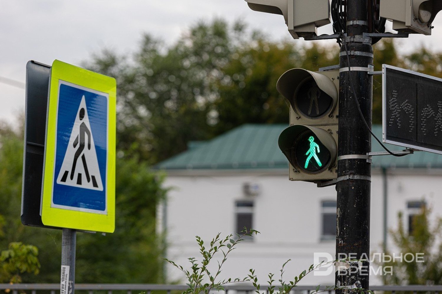 Количество 