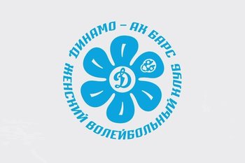 Женский волейбольный клуб «Динамо-Ак Барс» представил новый логотип