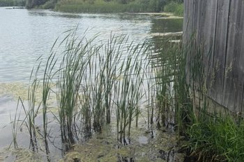 Минэкологии РТ выявило новые нарушения доступа к береговой линии Казанки