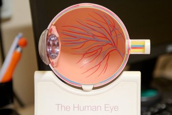 Росстандарт утвердил первый ГОСТ по биопечати органов