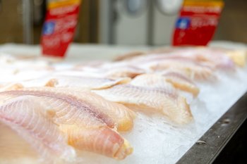 Рынок морепродуктов в России показал рост в первом квартале 2025 года