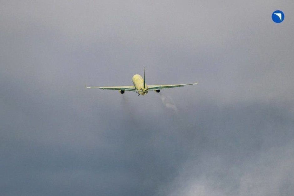 Отечественные самолеты могут занять половину авиапарка России через 6 лет