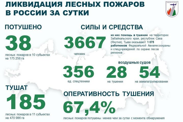 За минувшие сутки в 10 регионах России побороли 38 лесных пожаров