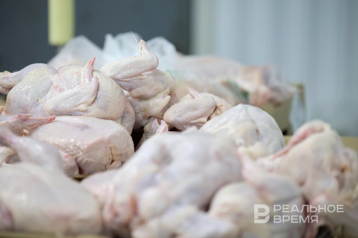Экспорт российского мяса птицы в Африку вырос в 3,5 раза
