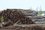 «Деревья штабелями лежат»: в Лаишевском районе идет массовая вырубка для расширения дороги