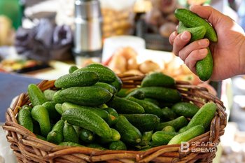 На осенних сельхозярмарках казанцы купили продукции на 646 млн рублей