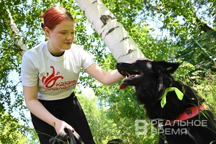 Догситтер и охранник в ЛДНР: кем планируют подработать казанцы этой осенью