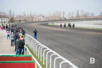 СК: в Татарстане чиновница за взятки в 75 тысяч рублей помогла с субсидиями на 25 миллионов