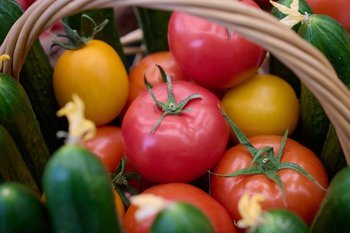 Казанские ученые создали ферментное средство для очистки овощей и фруктов