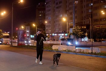 Жители Татарстана удвоили покупки б/у игрушек для собак