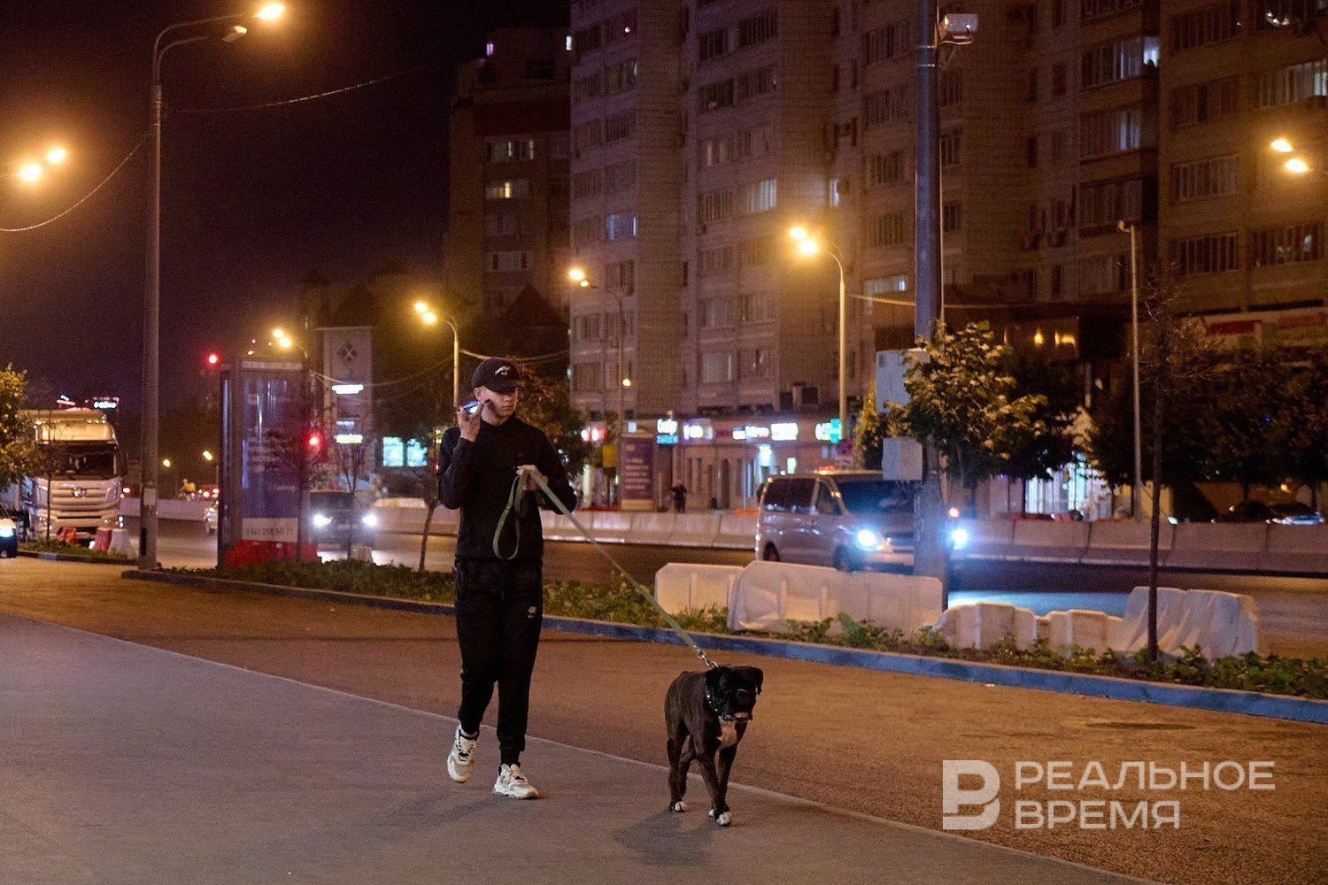 Жители Татарстана удвоили покупки б/у игрушек для собак