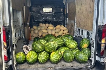 В Казани зооботсаду передали 350 кг арбузов и дынь, изъятых в ходе рейда