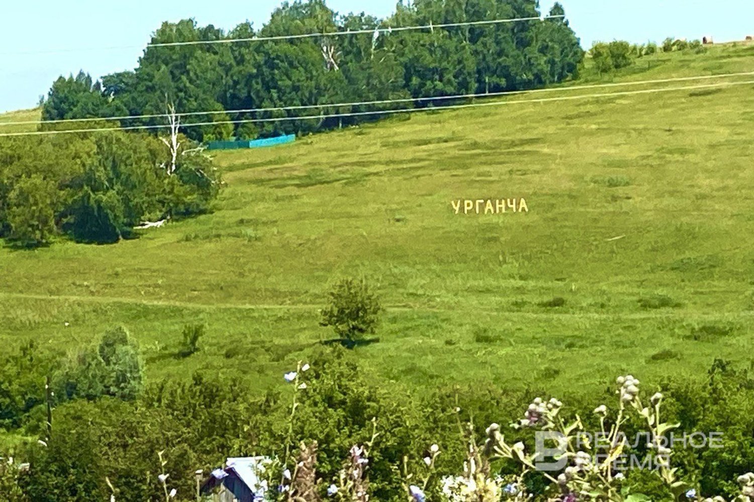 Программа 
