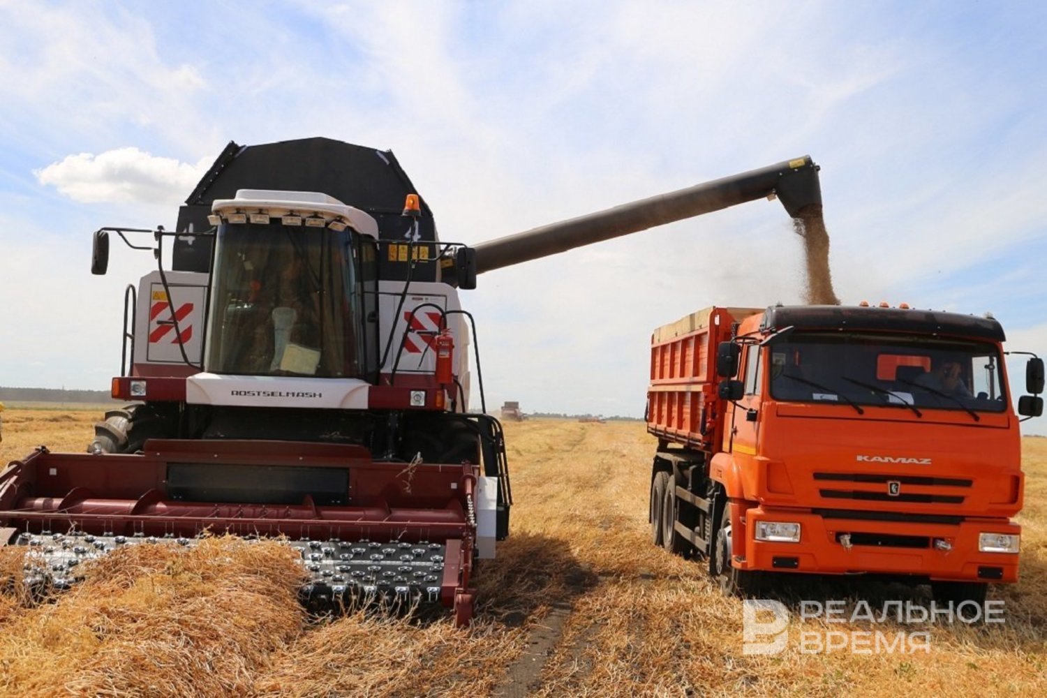 Россия увеличила сбор зерновых и зернобобовых культур на 8,1%