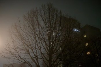 МЧС предупредило татарстанцев о неблагоприятной погоде и тумане