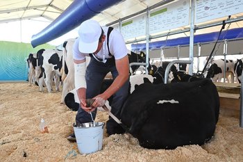 Проект молочного комплекса в Мамадышском районе за 7 млрд одобрила госэкспертиза